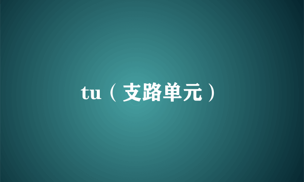 tu（支路单元）