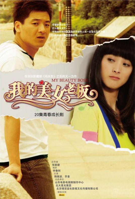 我的美女老板（2008年齐奎主演电视剧）