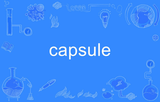 capsule（英文单词）