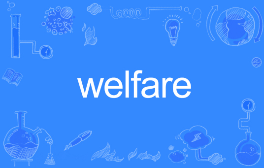 Welfare（英文单词）