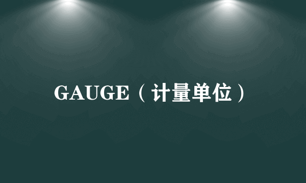 GAUGE（计量单位）