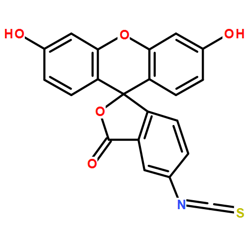 异硫氰酸荧光素