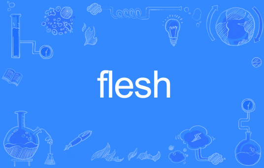 Flesh（英文单词）