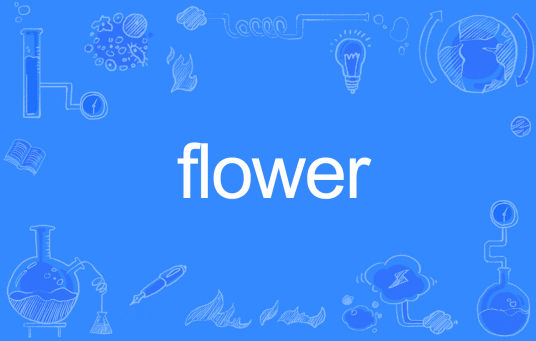 flower（英文单词）