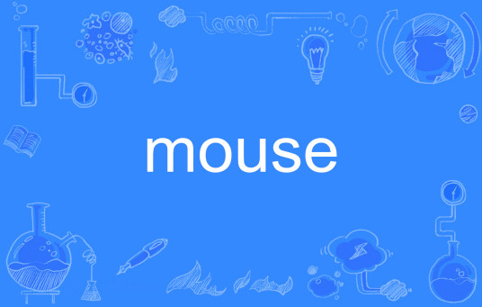 Mouse（英语单词）