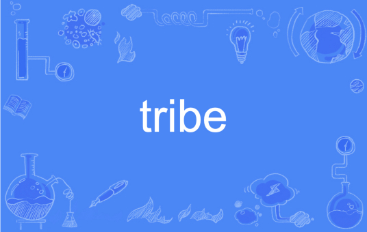 tribe（英语单词）