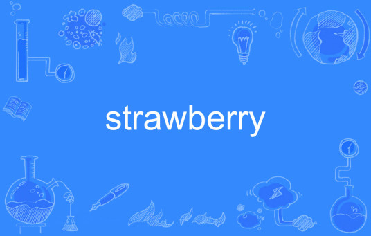 strawberry（英文单词）