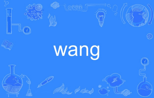 WANG（英文单词）