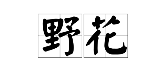 野花（词语解释）