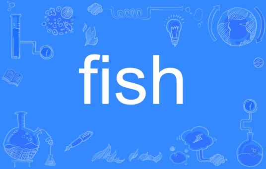 fish（英文词语）