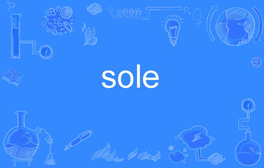 sole（英文单词）