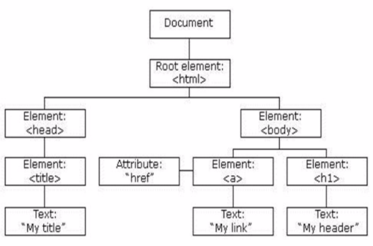 Document（计算机专业术语）