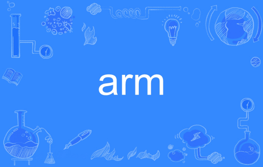 arm（英文单词）