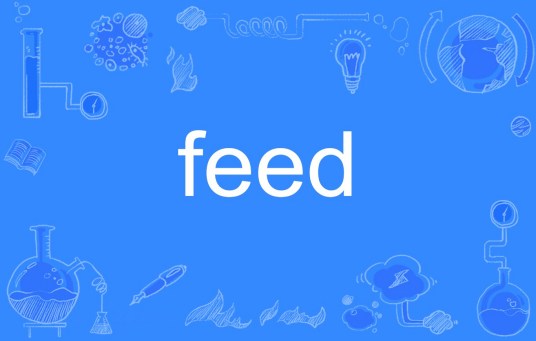 Feed（英语单词）