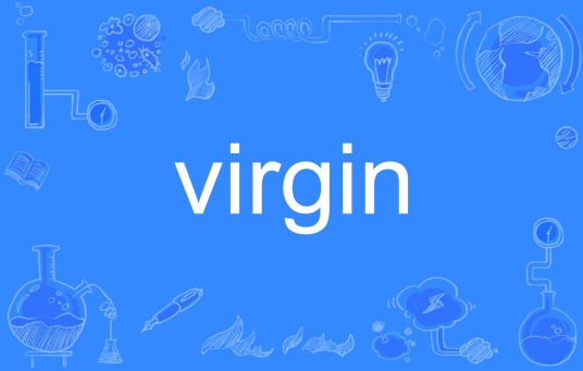 Virgin（英文单词）