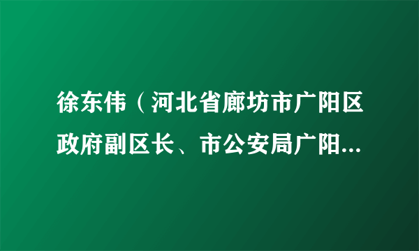 徐东伟（河北省廊坊市广阳区政府副区长、市公安局广阳分局局长、党组成员）