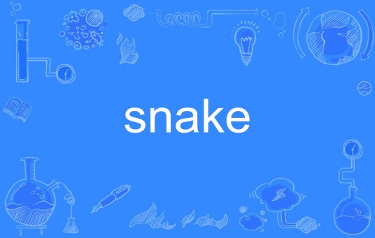 snake（英文单词）