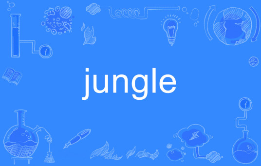 jungle（英文单词）