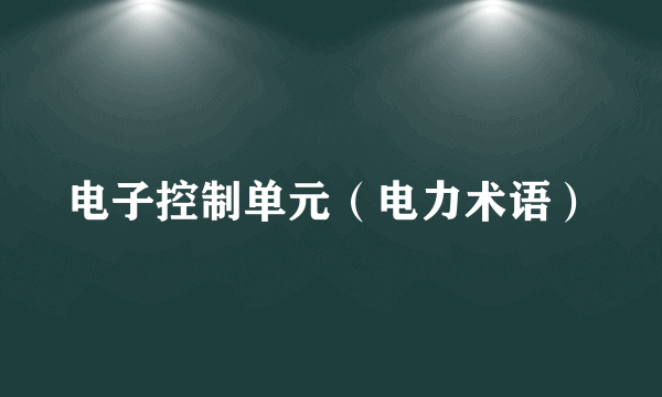 电子控制单元（电力术语）