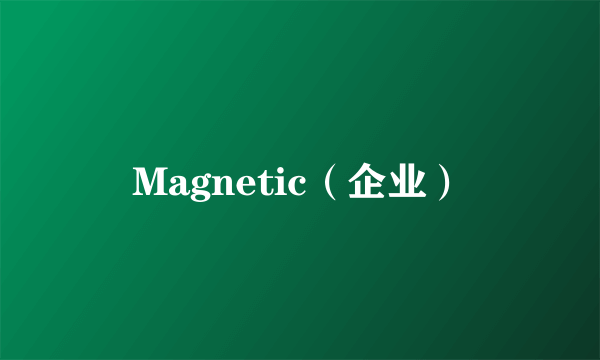 Magnetic（企业）