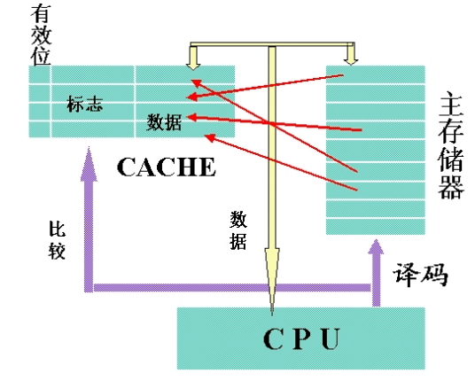 CACHE存储器