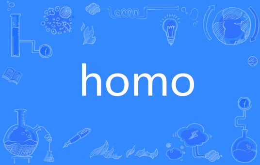 HOMO（英语单词）