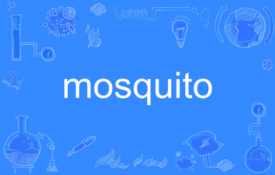 Mosquito（英文单词）