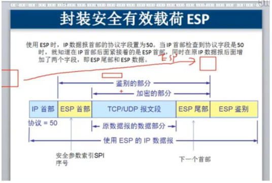 esp（封装安全载荷）