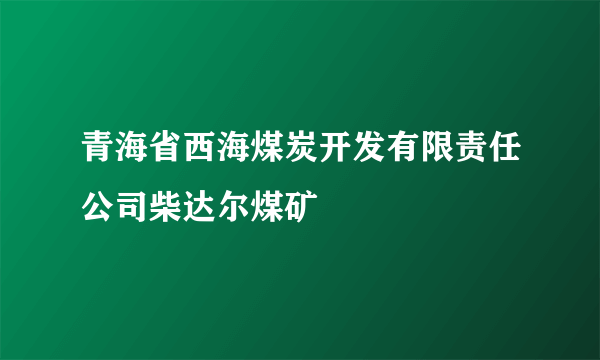 青海省西海煤炭开发有限责任公司柴达尔煤矿