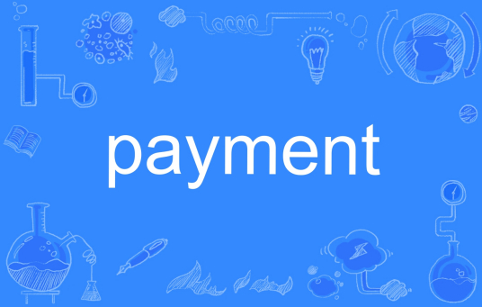 payment（英文单词）