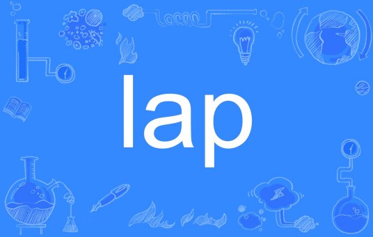 lap（英文单词）