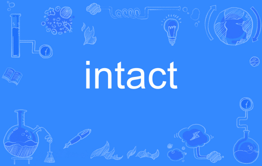 intact（英语单词）