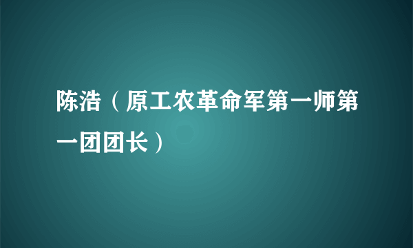 陈浩（原工农革命军第一师第一团团长）