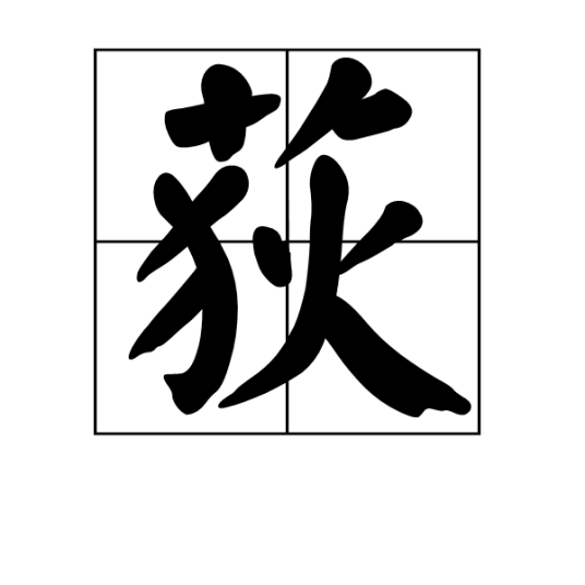 荻（汉字释义）