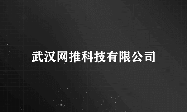 武汉网推科技有限公司