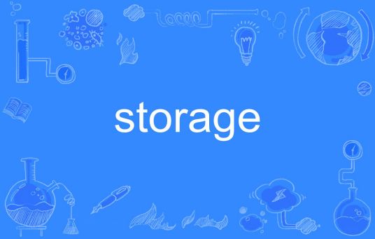 Storage（英文单词）