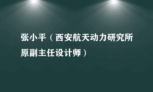 张小平（西安航天动力研究所原副主任设计师）