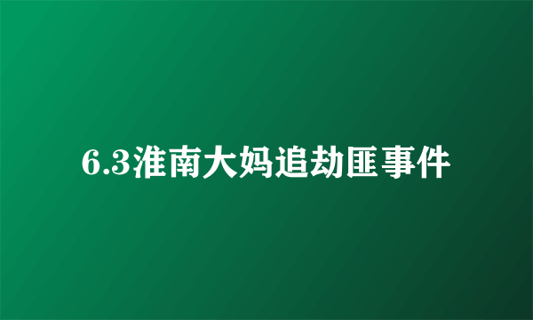 6.3淮南大妈追劫匪事件