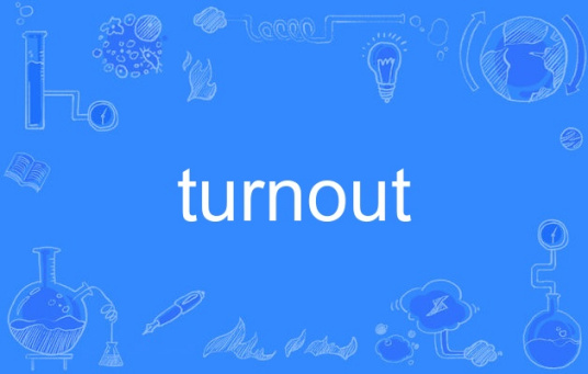 turnout（英语单词）