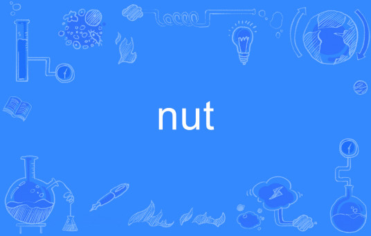 nut（英文单词）