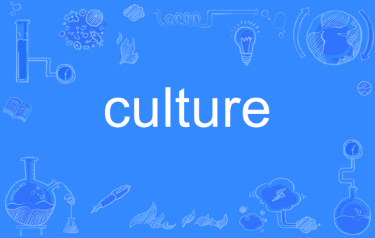 culture（英文单词）