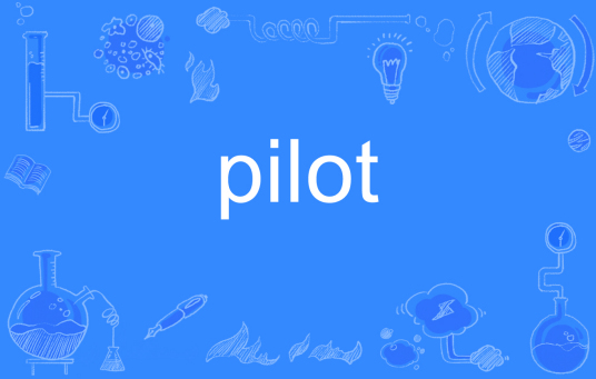 pilot（英文单词）