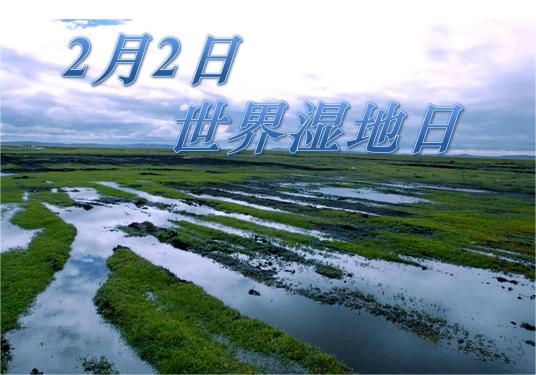 世界湿地日