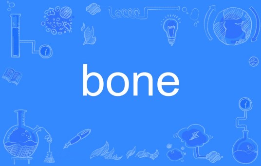 bone（英语单词）