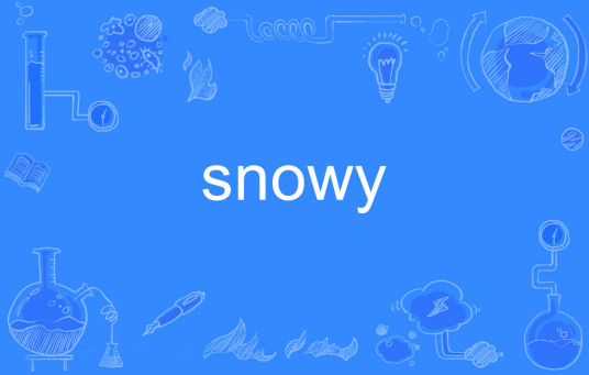 SNOWY（英文单词）