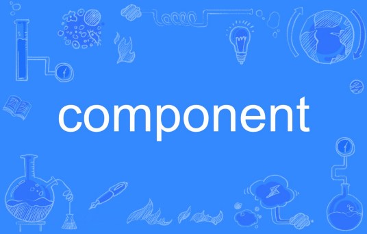 component（英文单词）