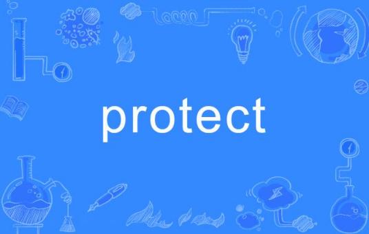 protect（英语单词）