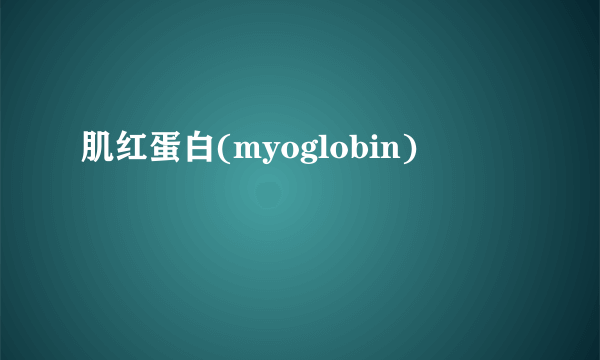 肌红蛋白(myoglobin)