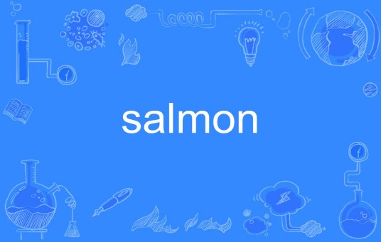 salmon（英文单词）