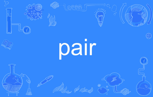 pair（英文单词）